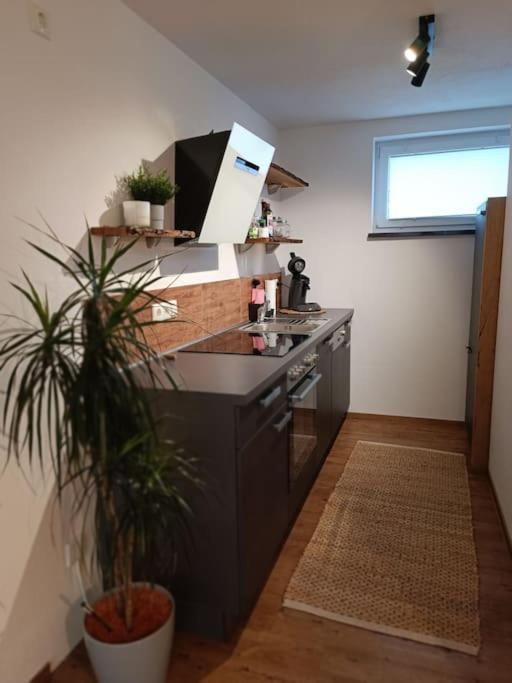 וואלטנהופן Altholzapartment In Kempten מראה חיצוני תמונה