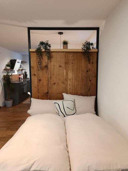 וואלטנהופן Altholzapartment In Kempten מראה חיצוני תמונה
